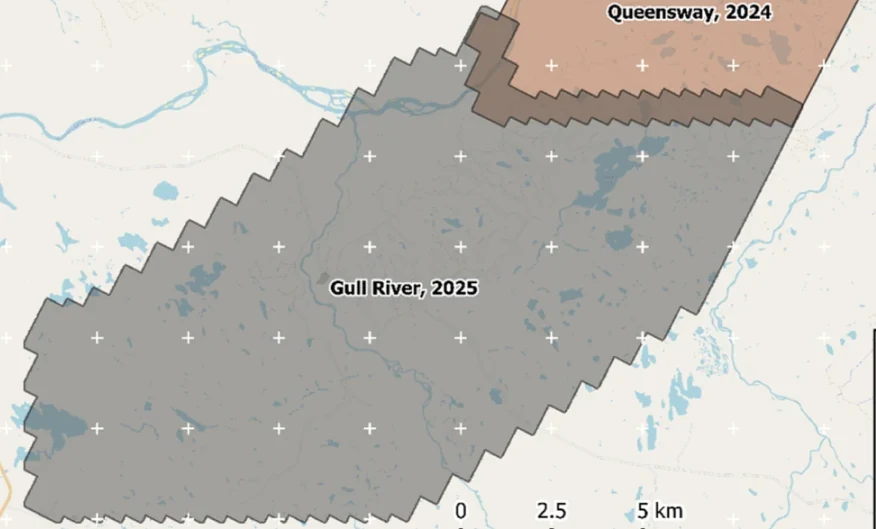 New Found Gold — Gull River survey figure